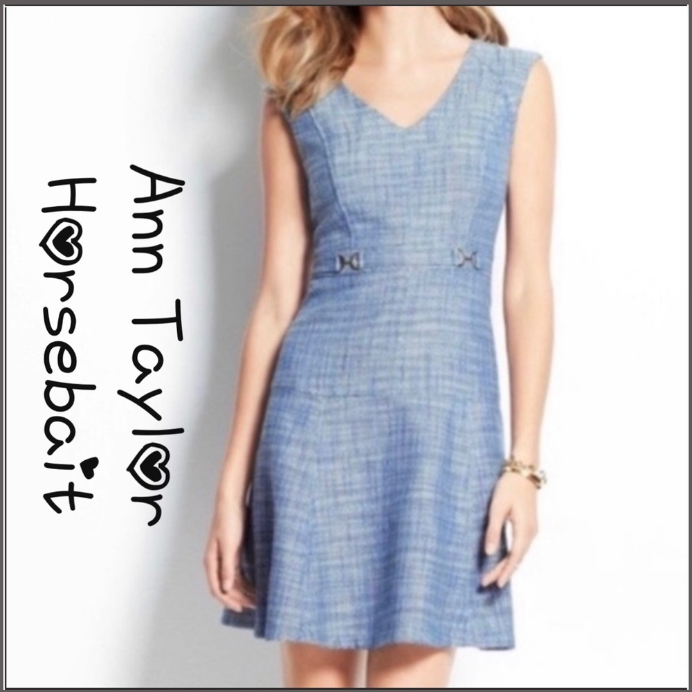 Flash Sale Ann Taylor Tweed Fringe Denim Blue fit and flare dress (2)